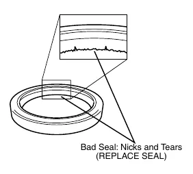 Bad seal with magnified nicks and tears requiring replacement.